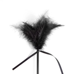 Secret Play Cravache et Plumeau Secret Touch 50cm Noir